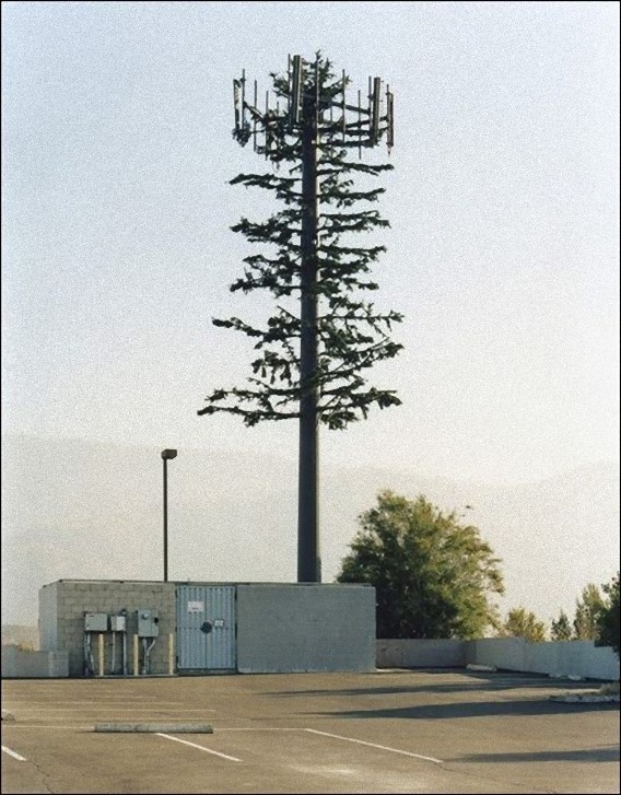 camouflaged_cell_phone_tower_16_e