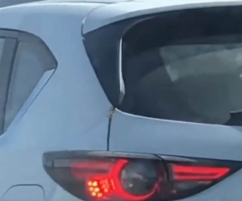 後続車は見た やばそうなクモが車の中に侵入していく瞬間を カラパイア