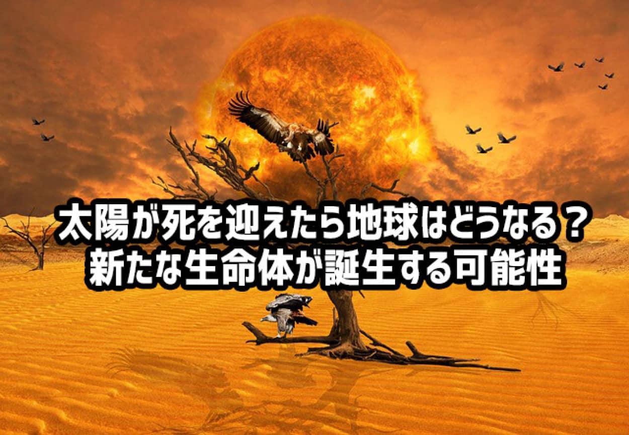 太陽が滅んだら地球上の生命体も滅ぶ。だが全く新しい生命体が誕生する可能性がある