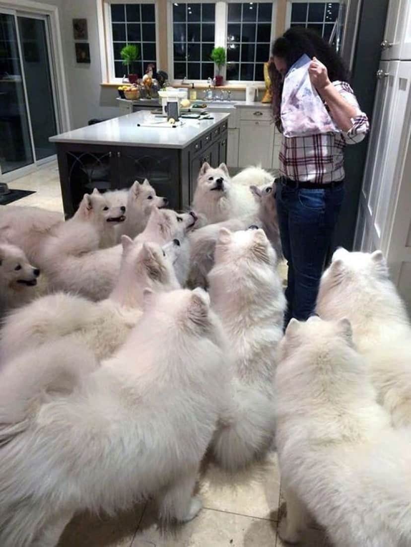14