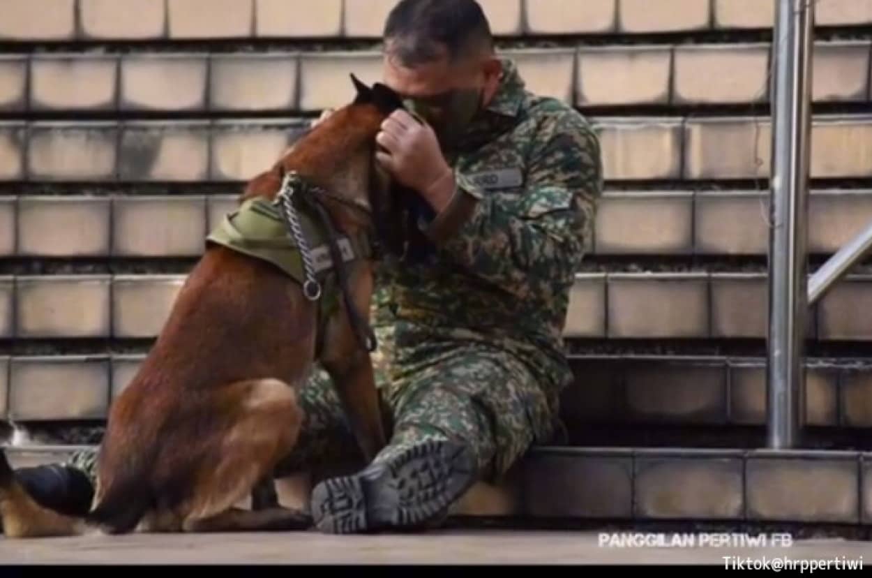 軍用犬と兵士の別れの時