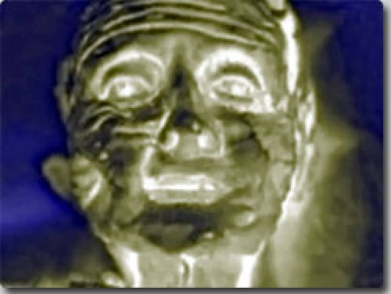 ¶²ÉÝ