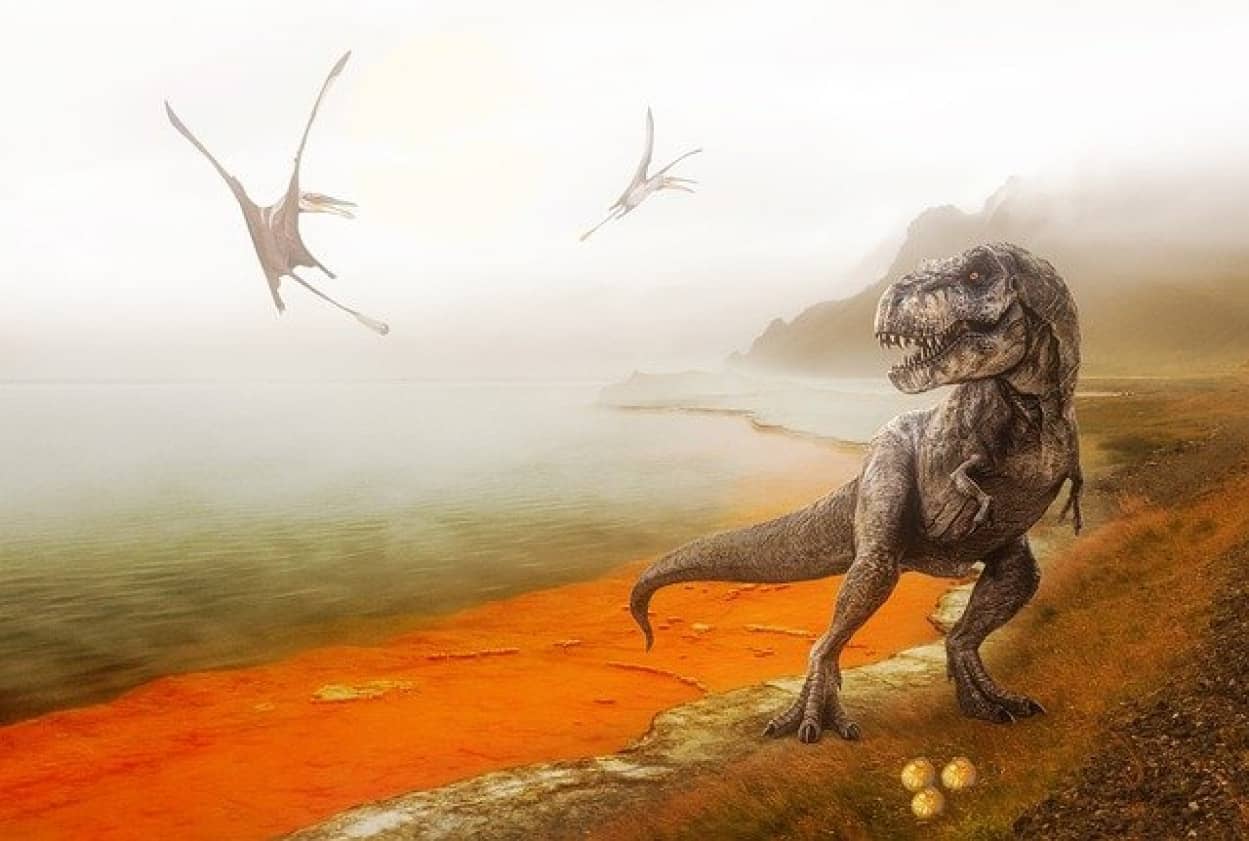 ティラノサウルスは恒温動物で、ステゴサウルスは変温動物。それを知る新たな方法が考案される