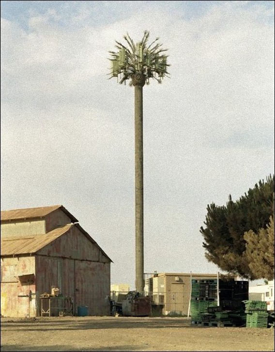 camouflaged_cell_phone_tower_11_e