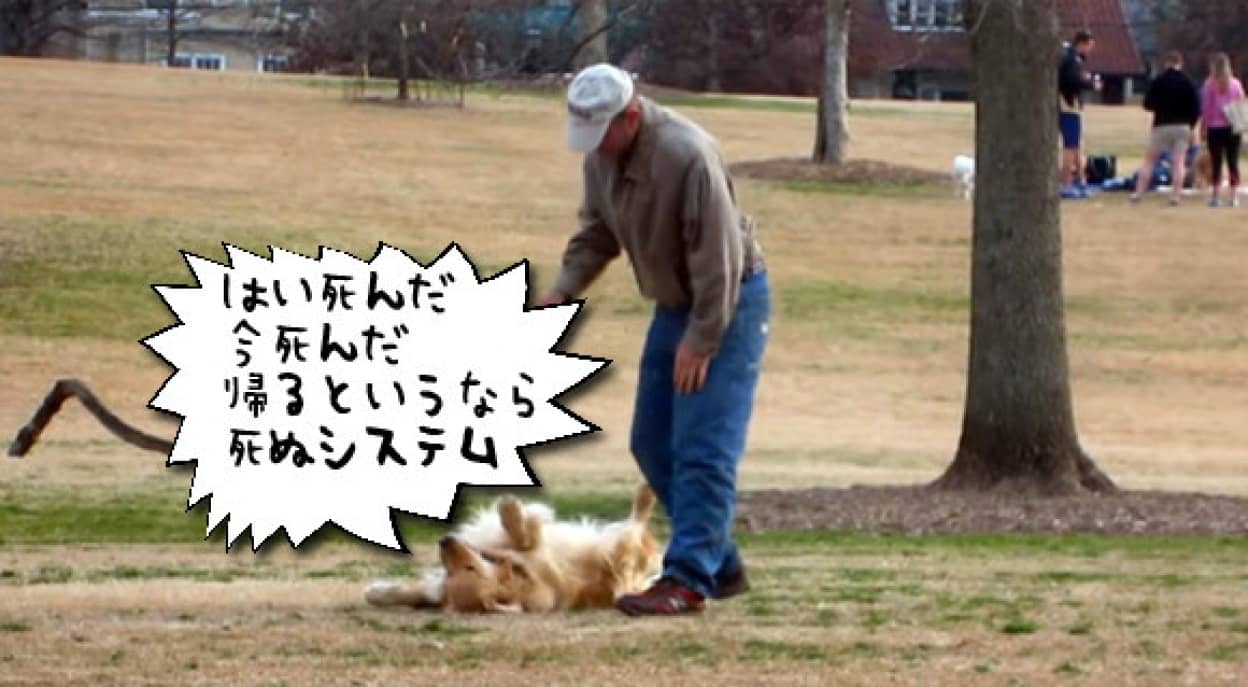 公園から帰りたくない犬の手口が巧妙だった ザ 死んだふり カラパイア 公園から帰りたくない犬の手口が巧妙だった ザ 死んだふり カラパイア