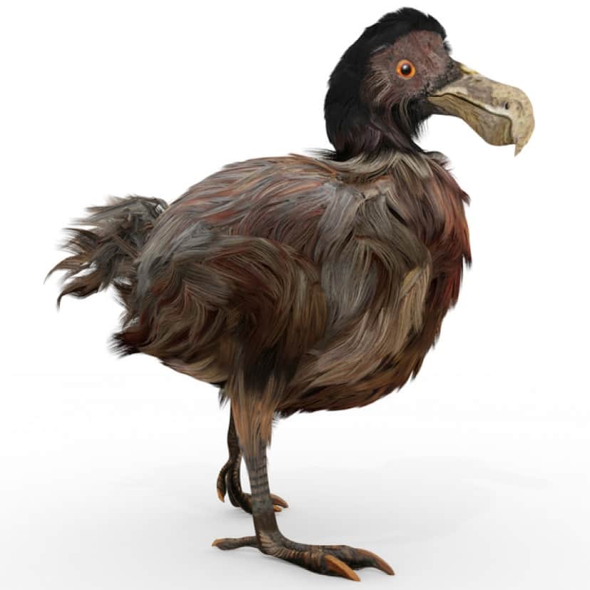 iStock-527744381