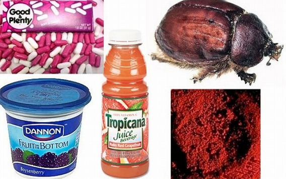 disgusting_food_ingredients_640_07