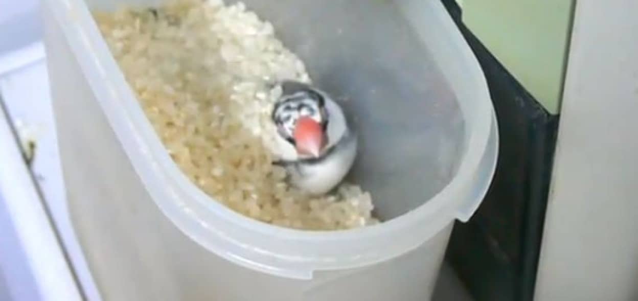 no title