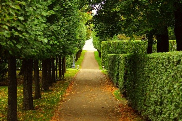 walkway-2550655_640_e