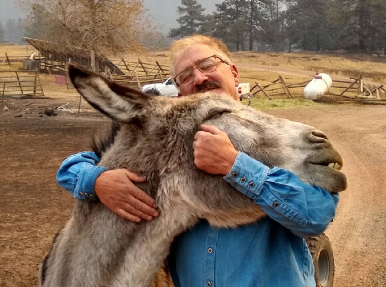 動物たちのやさしさと癒し