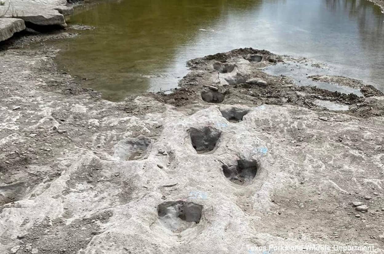 干ばつで浮かび上がった1億1000万年前の恐竜の足跡