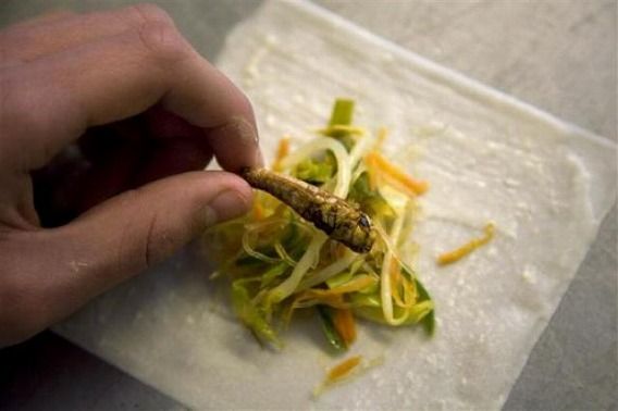 mealworms_not_just_640_12