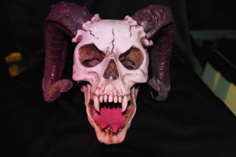 horned-skull_pixabay