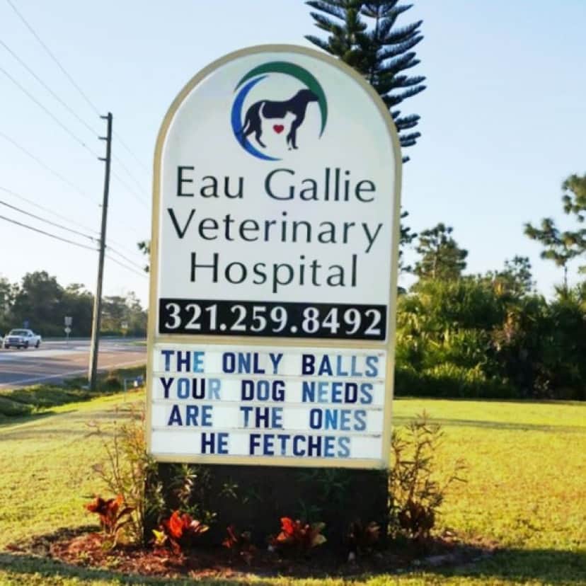 10_e