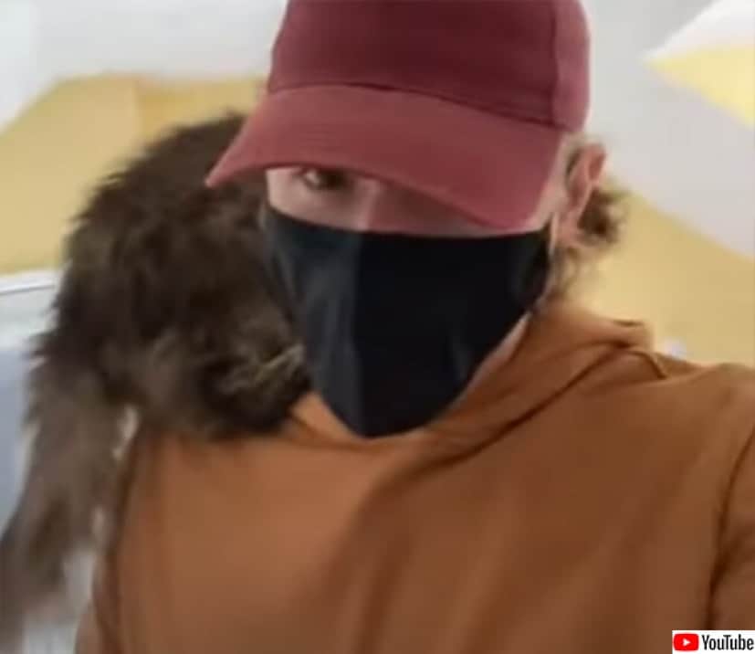 決め技、絡め尻尾。出会って数秒で飼い主を獲得した猫の華麗なる技を 
