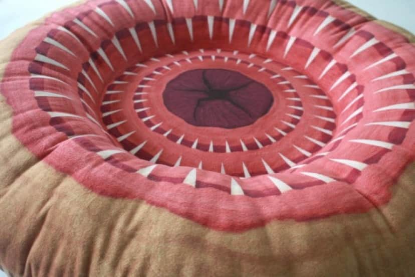 pillow3_e