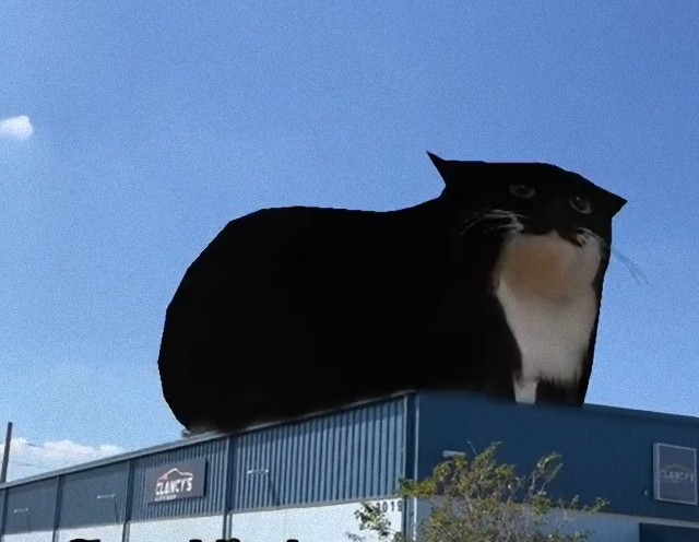 屋根の上で巨大な猫が踊る！？面白動画がSNSで大ウケし有名になった自動車整備工場