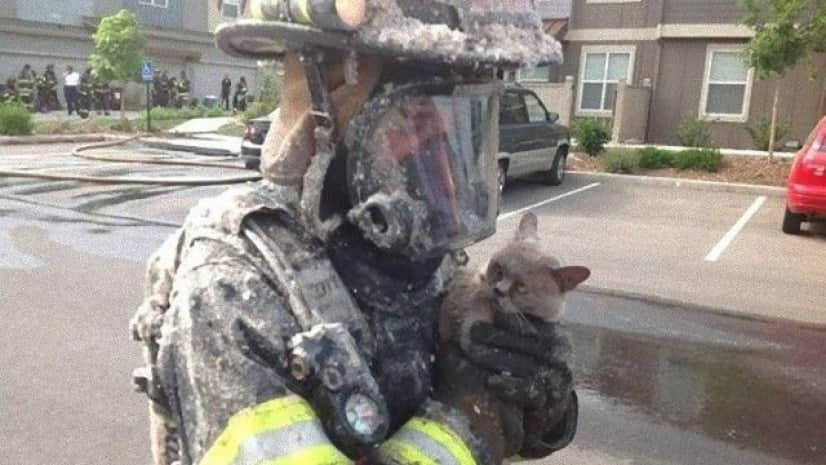 fireman-16_e
