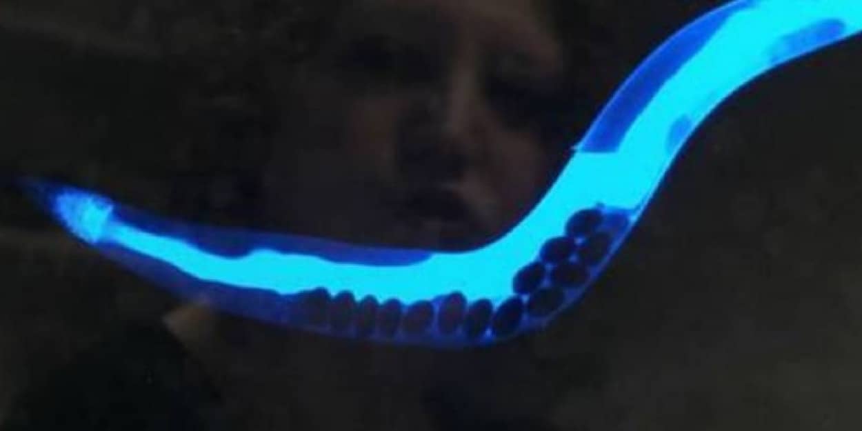 0_e12
