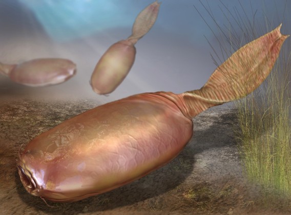 ワクワクアニマルキングダム 魅惑の古代生物復元予想図 カラパイア ワクワクアニマルキングダム 魅惑の古代生物復元予想図 カラパイア
