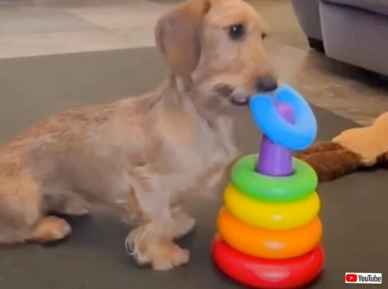 20240120_075605_batch