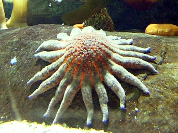 3_e12