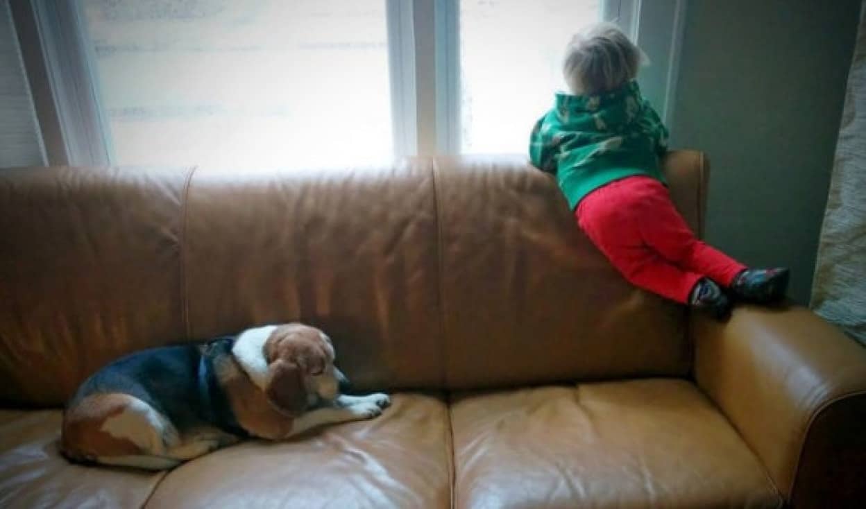 ワンちゃんは天国にいったの 最愛の犬を失った3歳の息子を納得させるため 天国の犬に手紙を書いたところ感動の結末が カラパイア