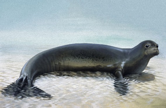 21世紀前後 我々が生まれてから絶滅した17の生物 カラパイア