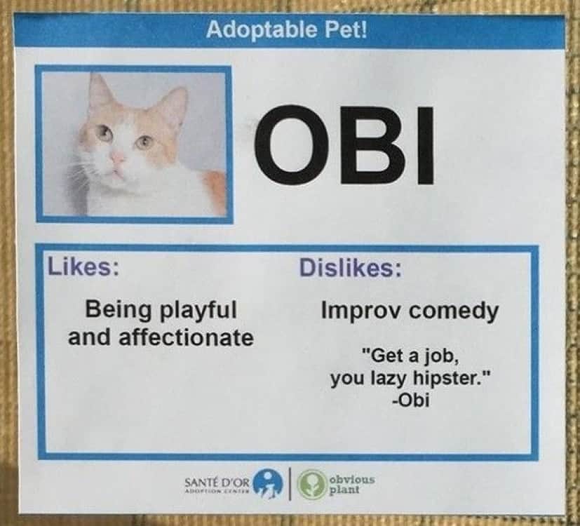 Obi_e