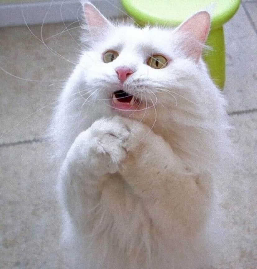 please_e