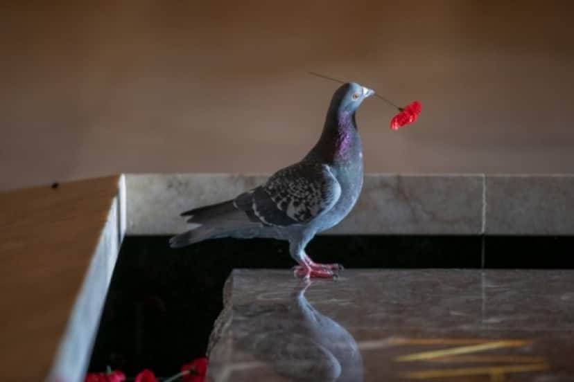bird1_e