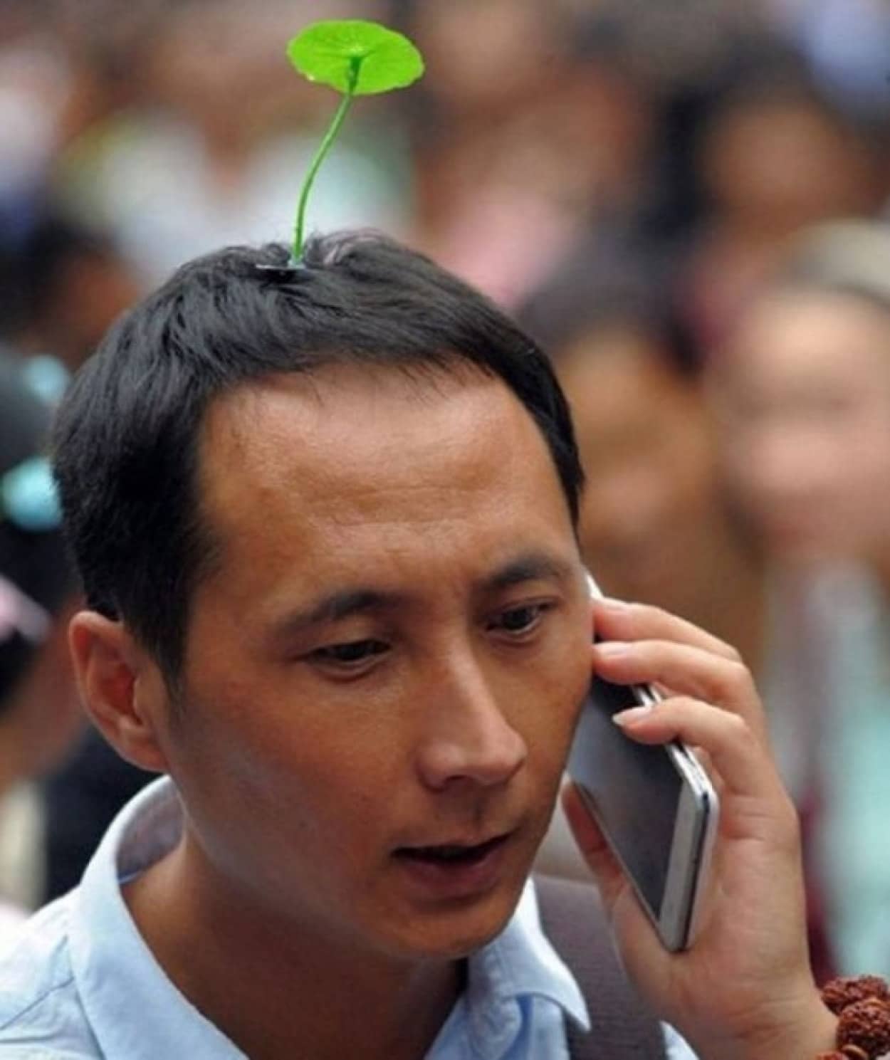 草生えた 花咲いた 中国最新ファッショントレンドは頭から草生やす カラパイア
