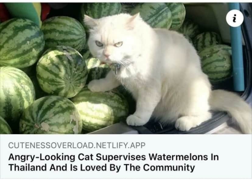 15_e