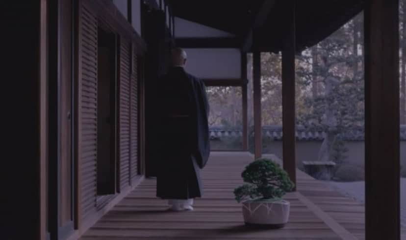 bonsai2_e