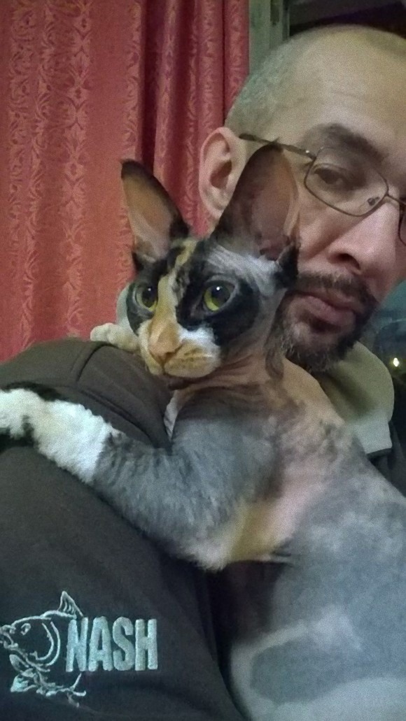 cat2_e