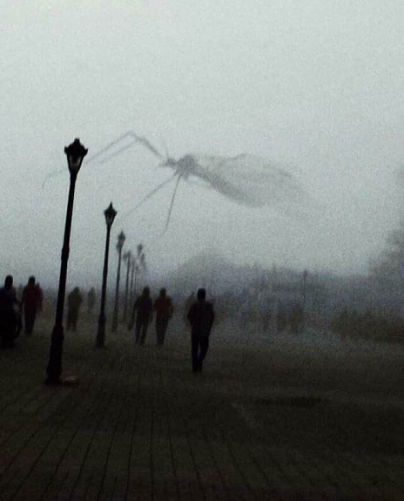 1_e0