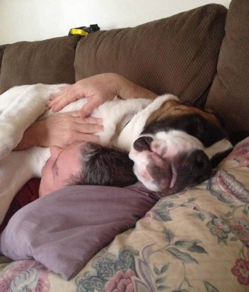 big-puppy11_e