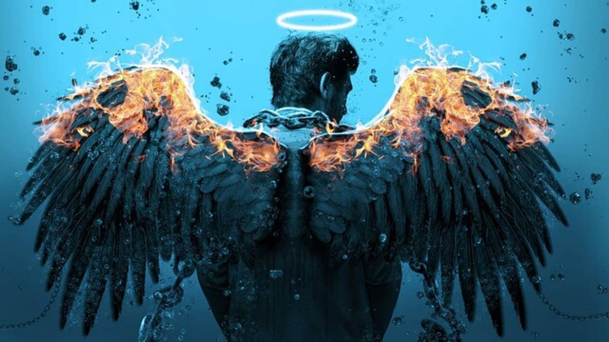 wings-5230461_640