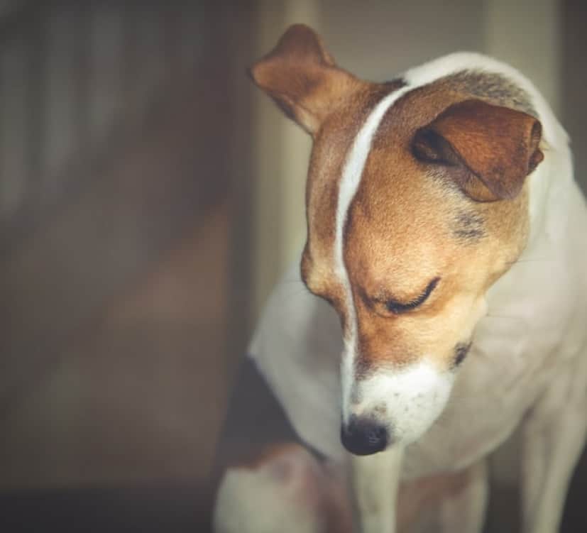 sherry-wright-f7gPhcSYYb4-unsplash