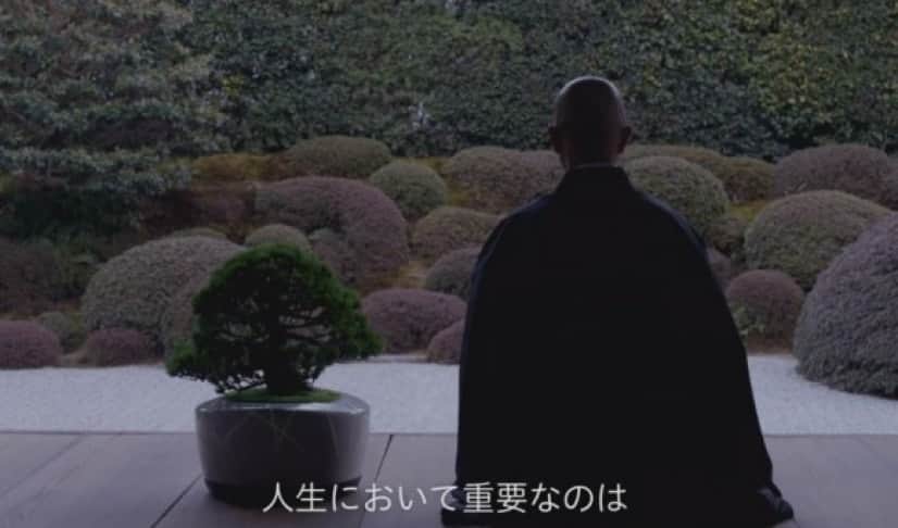 bonsai4_e