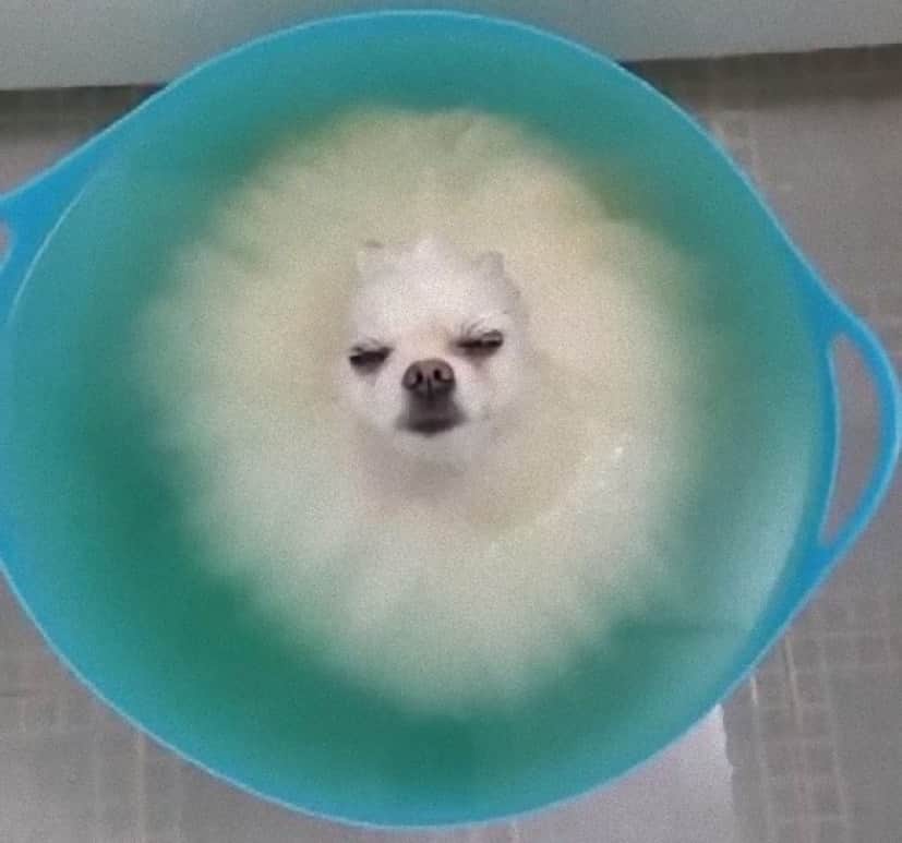 bath3_e