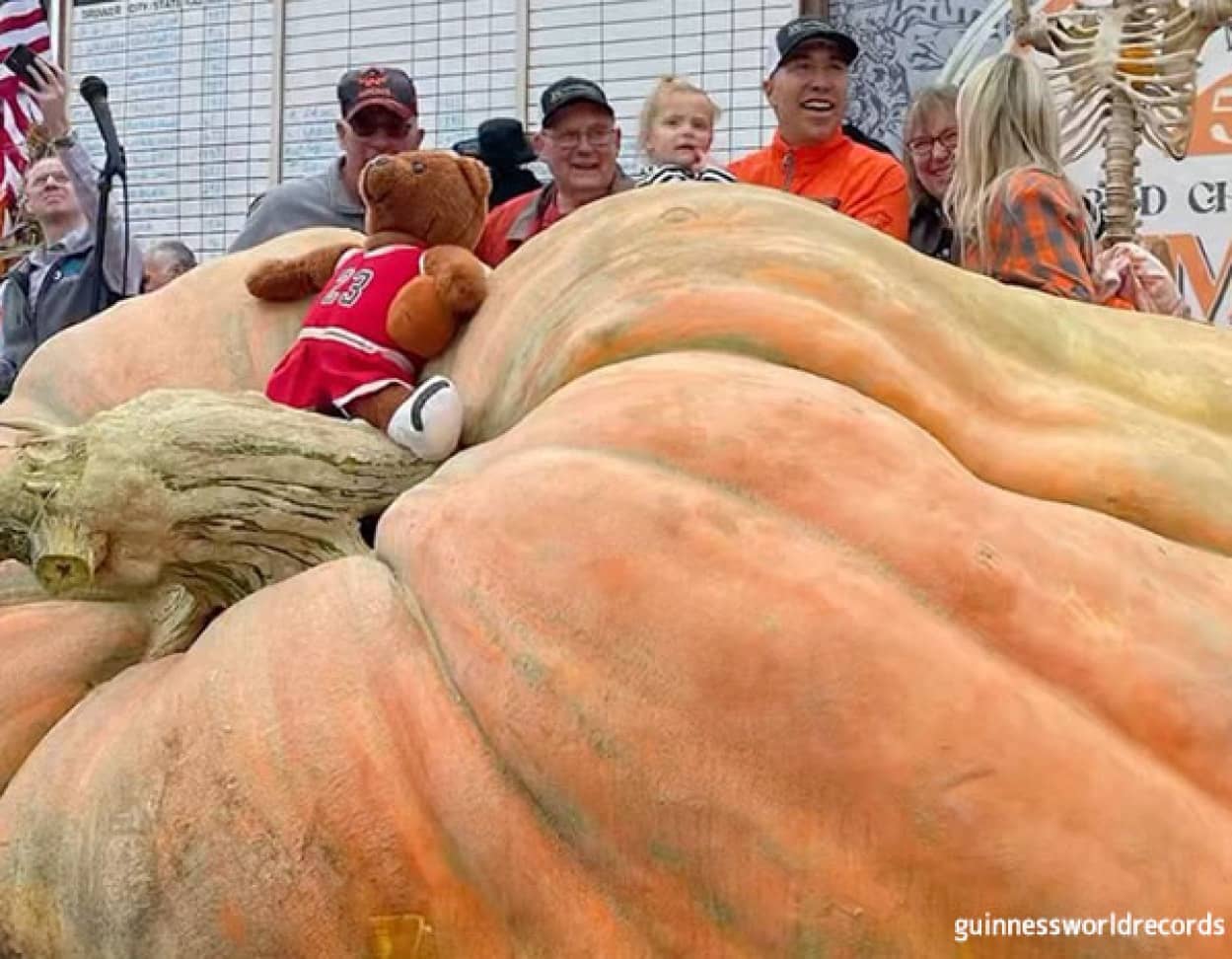 カボチャの重量で世界ギネス記録、1246.9kg