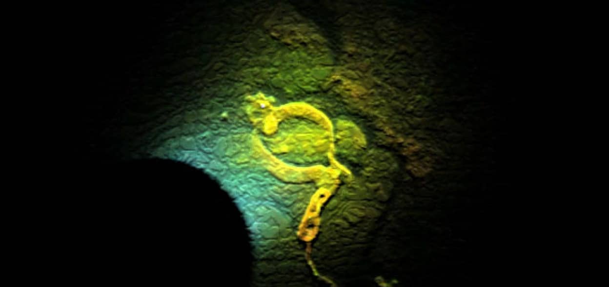 水中を捜索中のダイバーがそこで見たものは 衝撃の結末を迎えるパニック系ショートフィルム One Last Dive 閲覧注意 カラパイア