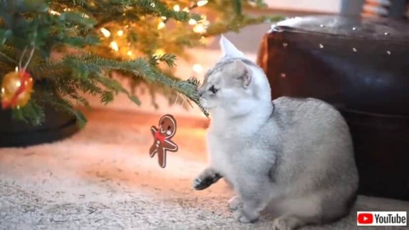 munchkincmas5_640