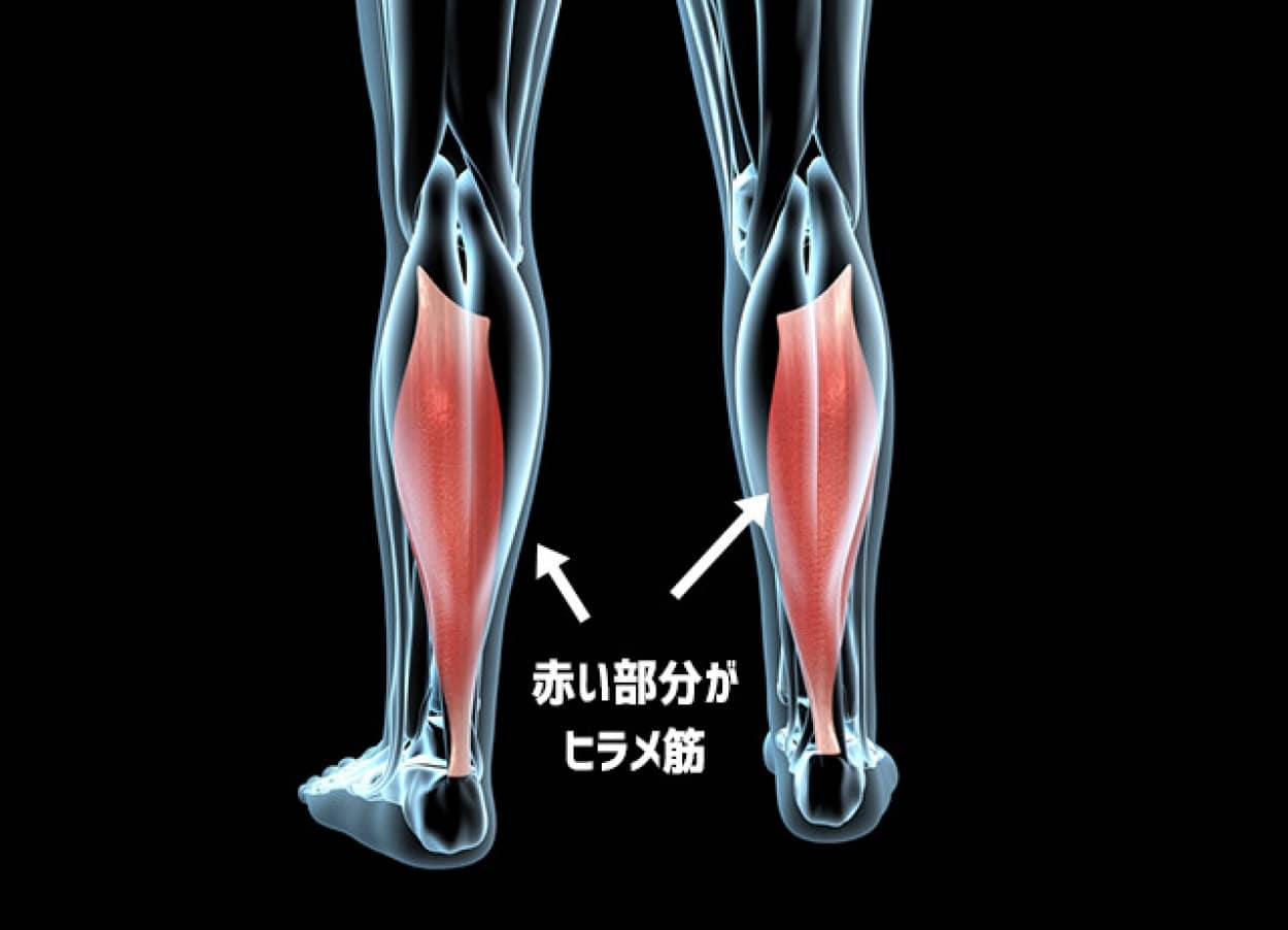 座りっぱなしの人のエクササイズ