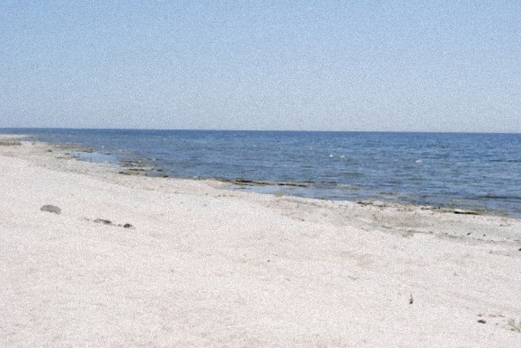 美しい でも近づいてみると 大量の魚の死骸から出来た湖の墓場 ソルトン シー ビーチ カラパイア 美しい でも近づいてみると 大量の魚の死骸から出来た湖の墓場 ソルトン シー ビーチ カラパイア