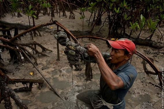 crab_hunting_in_640_04