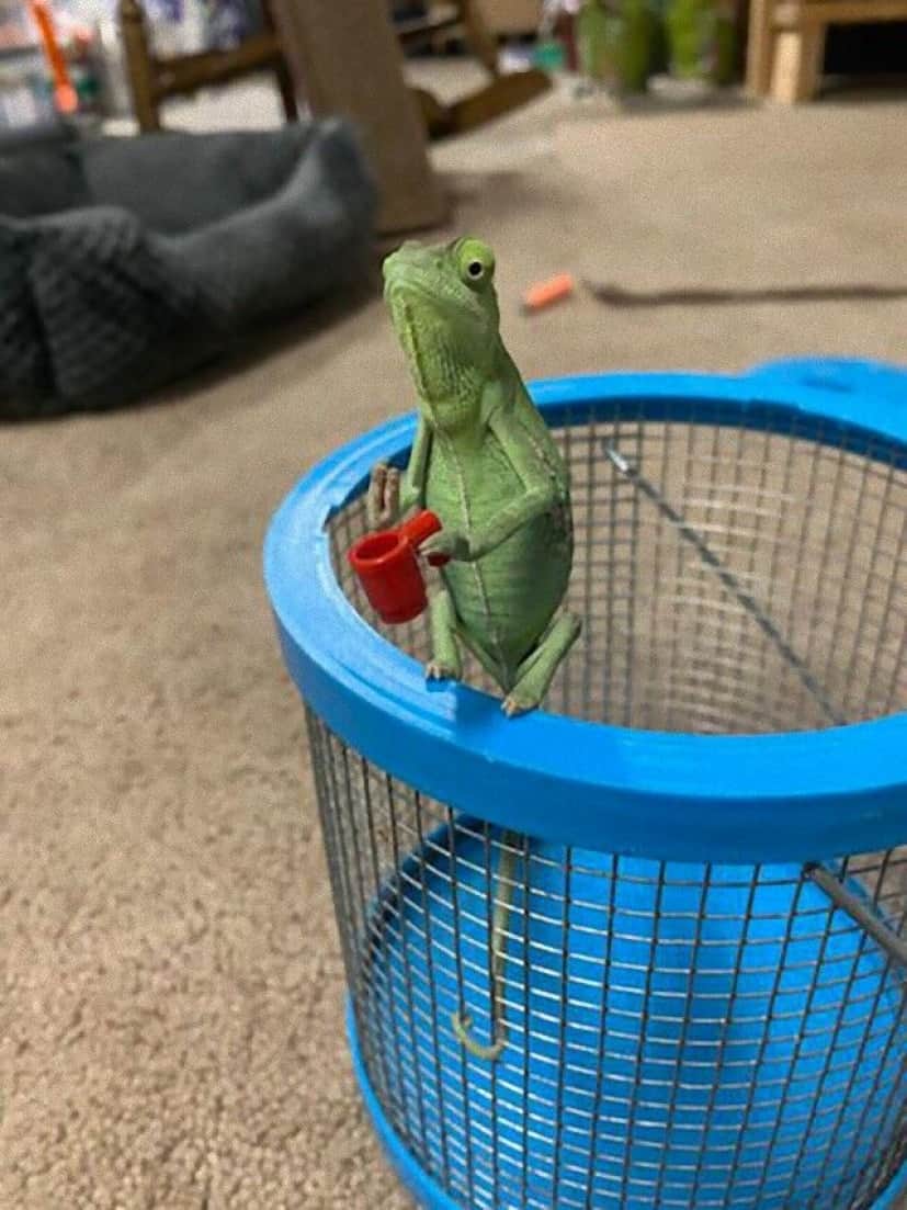 lizard-holding-lego-props-1_e