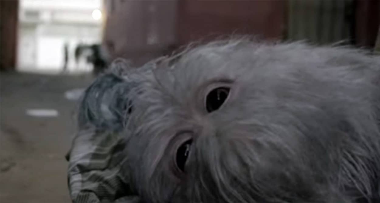 異形に生まれついたものが虐げられ そして新たなる人生を歩むまでを描いたcm Ideas Are Scary カラパイア