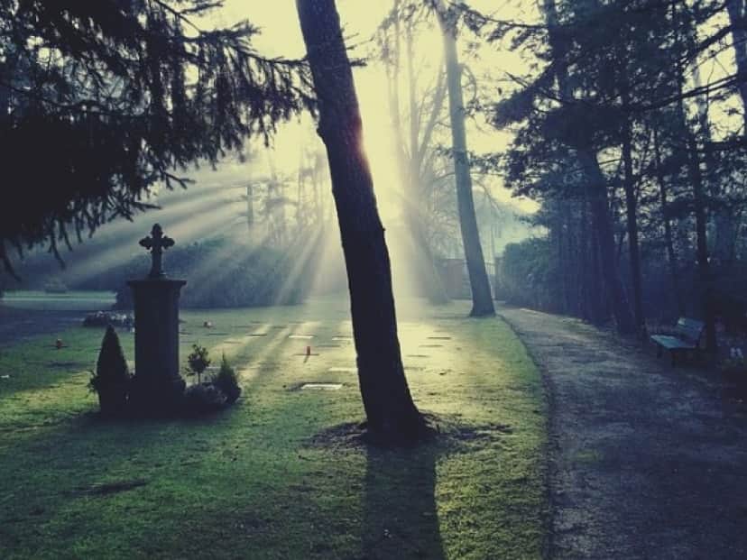 cemetery-883417_640_e